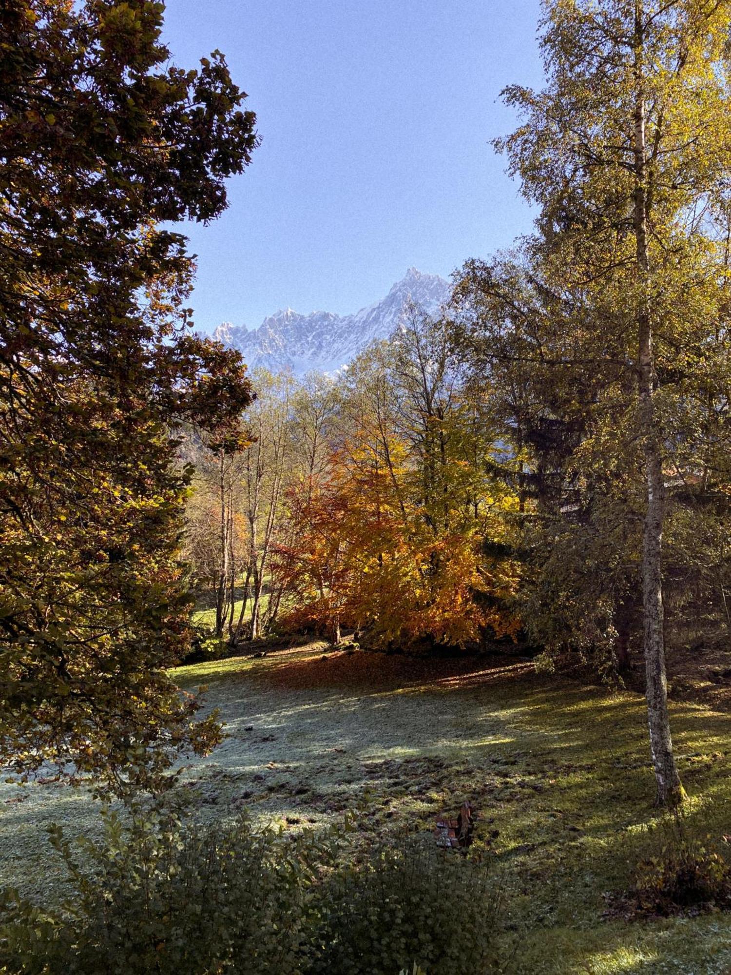 Chalet Vinales Les Houches Eksteriør billede