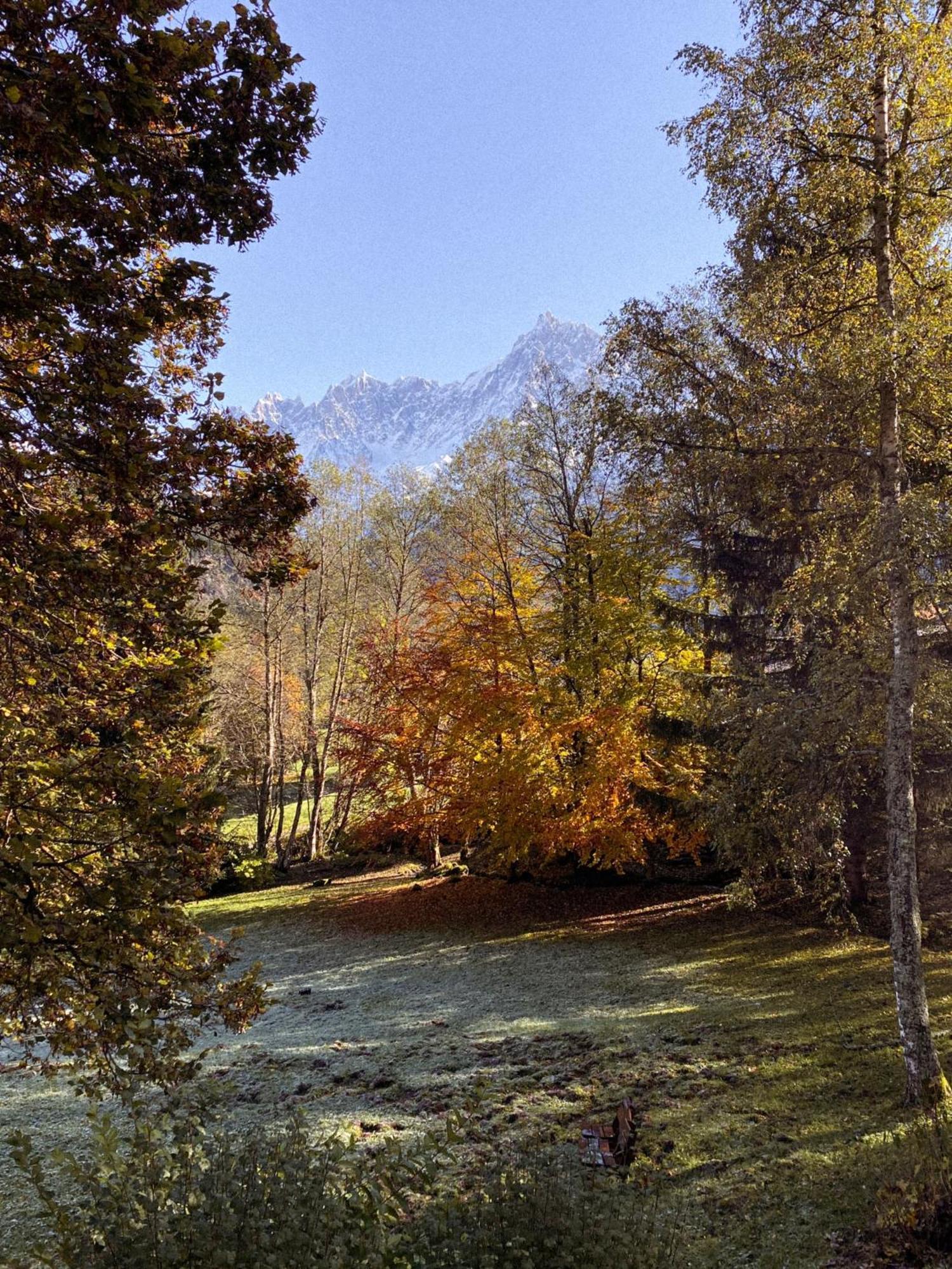 Chalet Vinales Les Houches Eksteriør billede