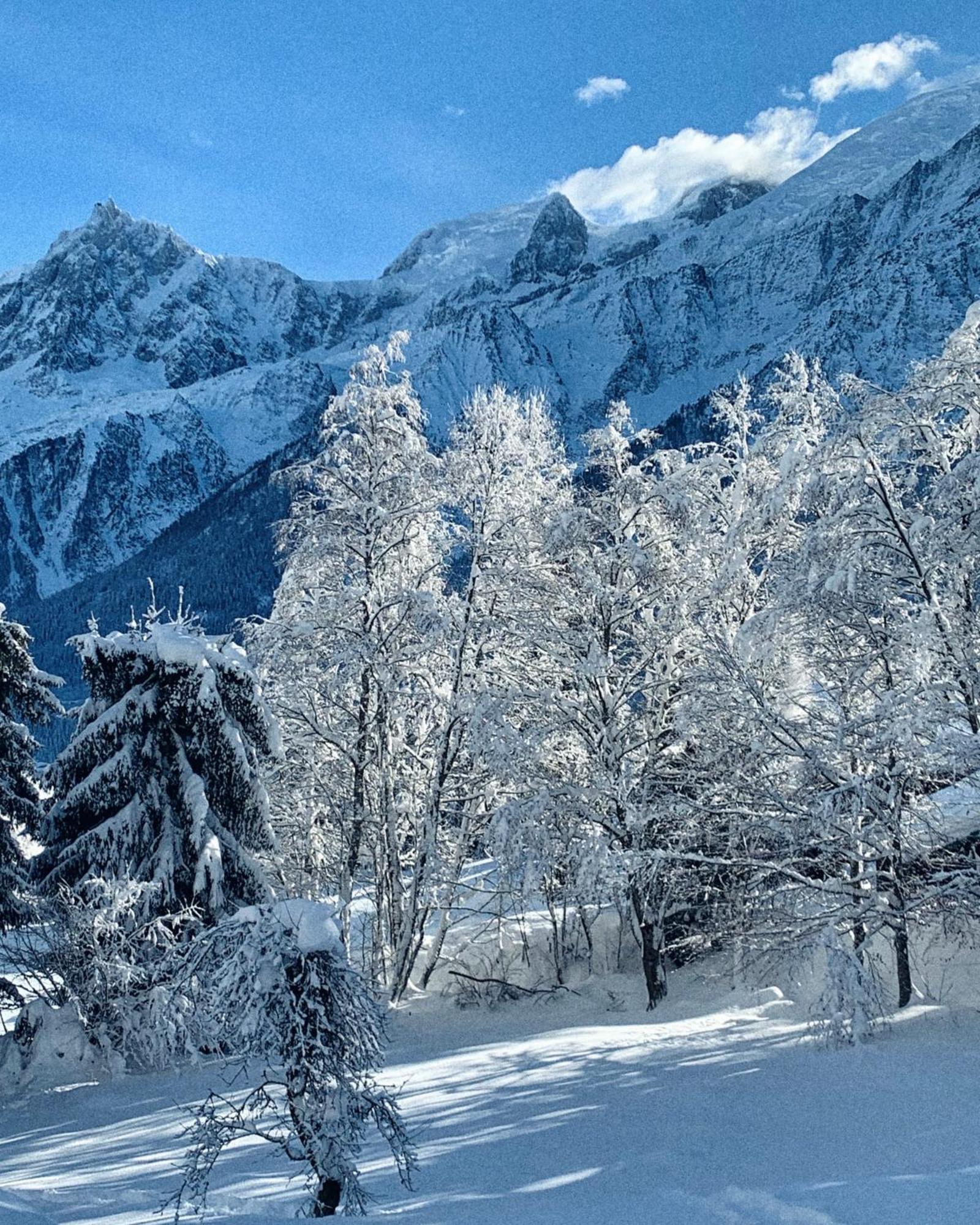 Chalet Vinales Les Houches Eksteriør billede